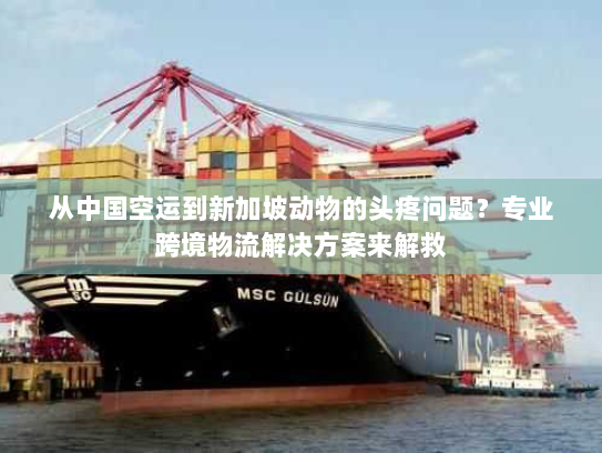 从中国空运到新加坡动物的头疼问题？专业跨境物流解决方案来解救