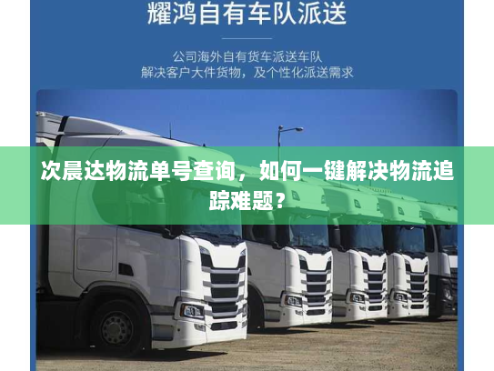 次晨达物流单号查询，如何一键解决物流追踪难题？