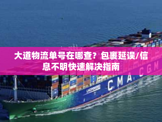 大道物流单号在哪查？包裹延误/信息不明快速解决指南