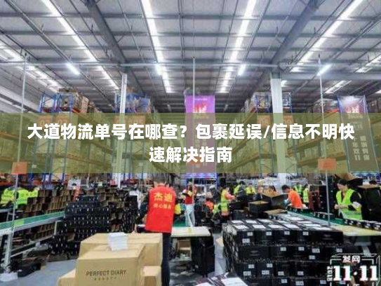 大道物流单号在哪查?包裹延误/信息不明快速解决指南 大道物流单号在哪查?包裹延误/信息不明快速解决指南