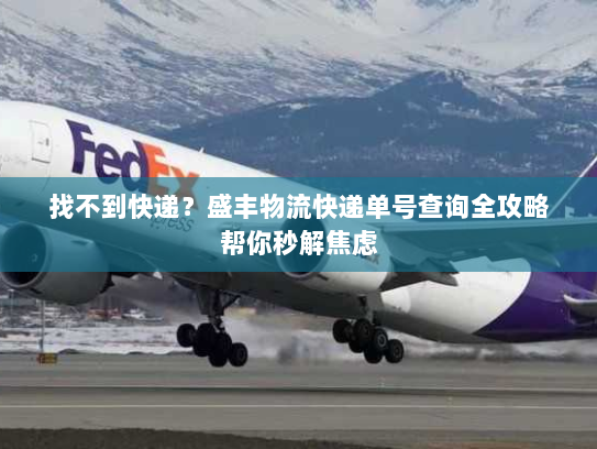 找不到快递?盛丰物流快递单号查询全攻略帮你秒解焦虑 找不到快递?盛丰物流快递单号查询全攻略帮你秒解焦虑
