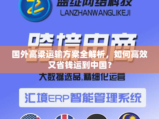 国外高粱运输方案全解析，如何高效又省钱运到中国？