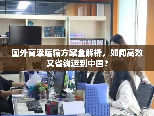 国外高粱运输方案全解析，如何高效又省钱运到中国？
