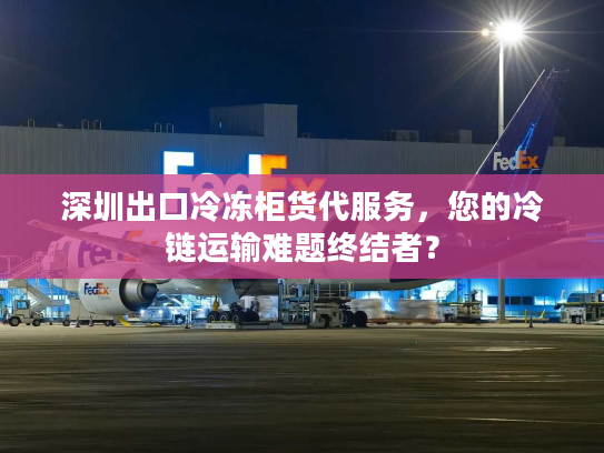 深圳出口冷冻柜货代服务，您的冷链运输难题终结者？