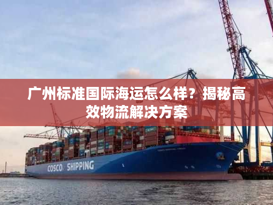 广州标准国际海运怎么样?揭秘高效物流解决方案 广州标准国际海运怎么样?揭秘高效物流解决方案