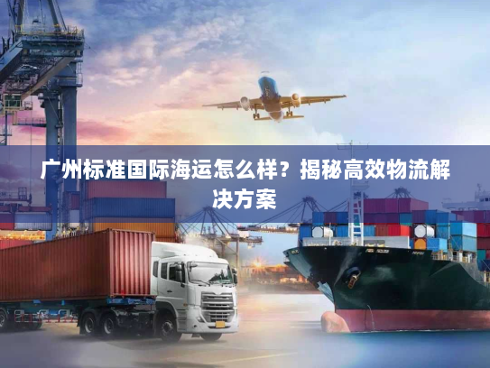 广州标准国际海运怎么样？揭秘高效物流解决方案