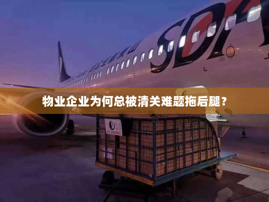 物业企业为何总被清关难题拖后腿? 物业企业为何总被清关难题拖后腿?