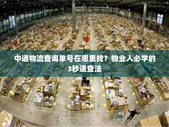 中通物流查询单号在哪里找?物业人必学的3秒速查法 中通物流查询单号在哪里找?物业人必学的3秒速查法