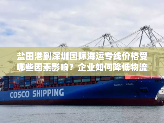 盐田港到深圳国际海运专线价格受哪些因素影响？企业如何降低物流成本？