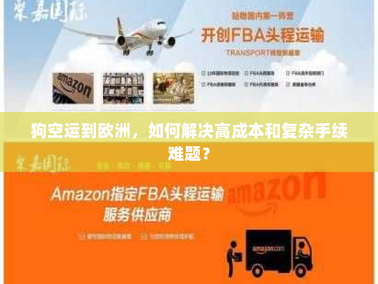 狗空运到欧洲，如何解决高成本和复杂手续难题？