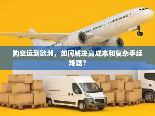 狗空运到欧洲，如何解决高成本和复杂手续难题？