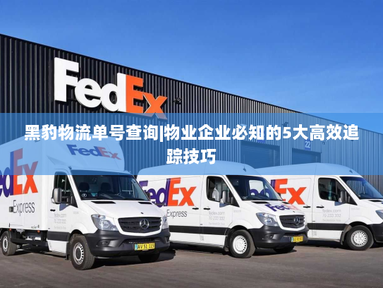 黑豹物流单号查询|物业企业必知的5大高效追踪技巧