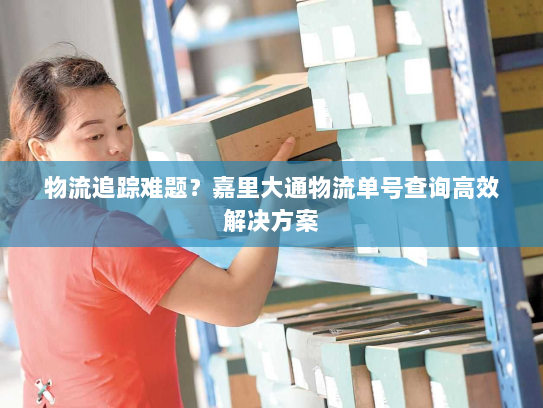 物流追踪难题？嘉里大通物流单号查询高效解决方案