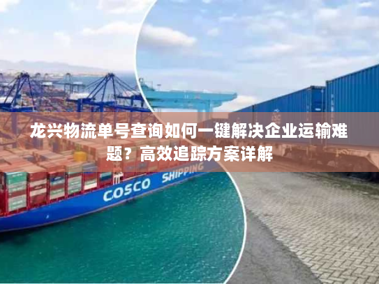 龙兴物流单号查询如何一键解决企业运输难题？高效追踪方案详解