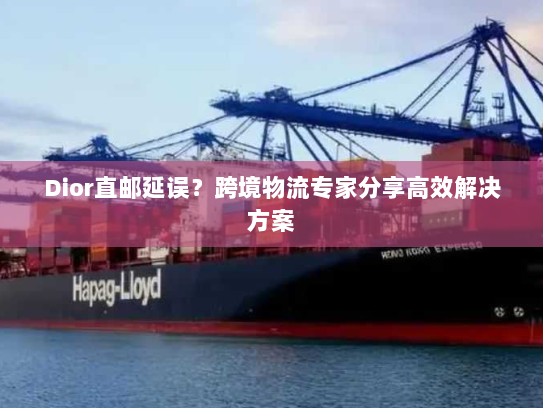 Dior直邮延误？跨境物流专家分享高效解决方案