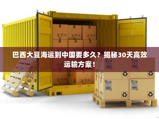 巴西大豆海运到中国要多久?揭秘30天高效运输方案! 巴西大豆海运到中国要多久?揭秘30天高效运输方案!