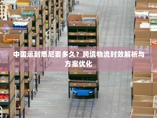 中国运到悉尼要多久?跨境物流时效解析与方案优化 中国运到悉尼要多久?跨境物流时效解析与方案优化