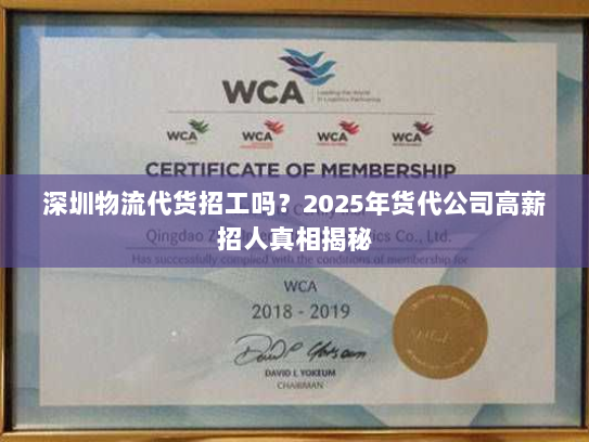 深圳物流代货招工吗?2025年货代公司高薪招人真相揭秘 深圳物流代货招工吗?2025年货代公司高薪招人真相揭秘