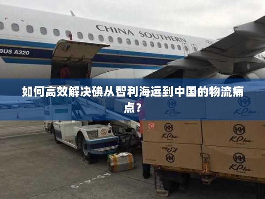 如何高效解决碘从智利海运到中国的物流痛点? 如何高效解决碘从智利海运到中国的物流痛点?