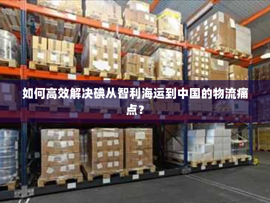 如何高效解决碘从智利海运到中国的物流痛点? 如何高效解决碘从智利海运到中国的物流痛点?