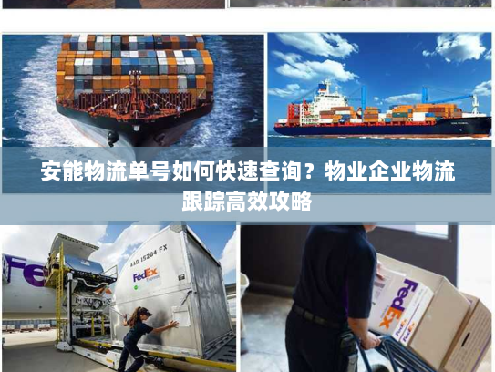 安能物流单号如何快速查询？物业企业物流跟踪高效攻略