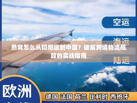 燕窝怎么从印尼运到中国?破解跨境物流瓶颈的实战指南 燕窝怎么从印尼运到中国?破解跨境物流瓶颈的实战指南