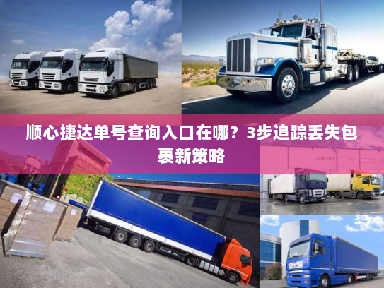 顺心捷达单号查询入口在哪?3步追踪丢失包裹新策略 顺心捷达单号查询入口在哪?3步追踪丢失包裹新策略