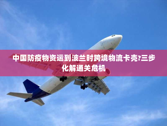 中国防疫物资运到波兰时跨境物流卡壳?三步化解通关危机