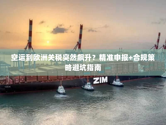 空运到欧洲关税突然飙升？精准申报+合规策略避坑指南