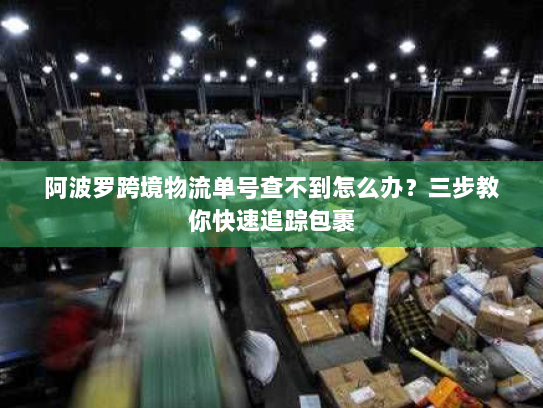 阿波罗跨境物流单号查不到怎么办？三步教你快速追踪包裹