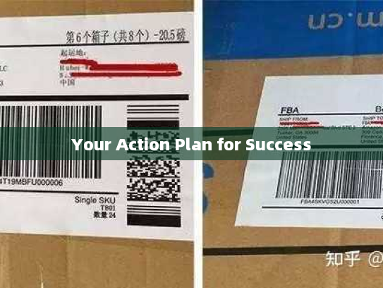 Your Action Plan for Success