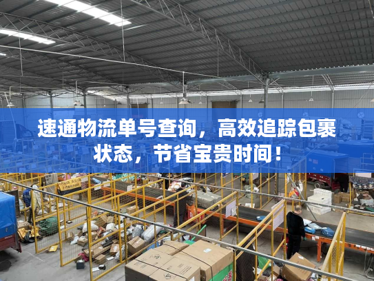 速通物流单号查询，高效追踪包裹状态，节省宝贵时间！