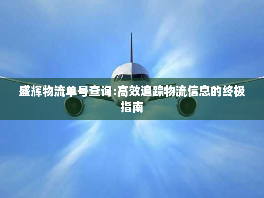 盛辉物流单号查询:高效追踪物流信息的终极指南 盛辉物流单号查询:高效追踪物流信息的终极指南