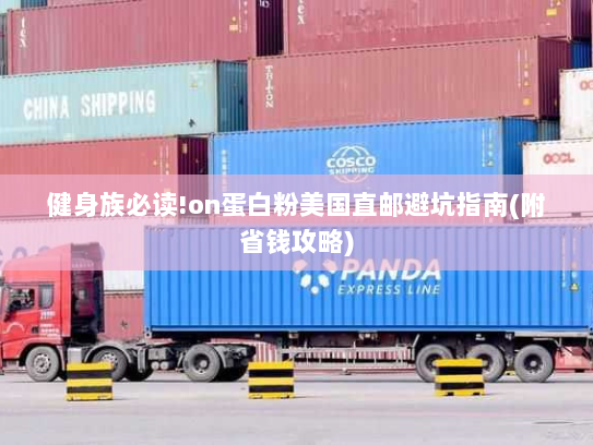 健身族必读!on蛋白粉美国直邮避坑指南(附省钱攻略) 健身族必读!on蛋白粉美国直邮避坑指南(附省钱攻略)