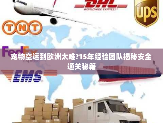 宠物空运到欧洲太难?15年经验团队揭秘安全通关秘籍 宠物空运到欧洲太难?15年经验团队揭秘安全通关秘籍