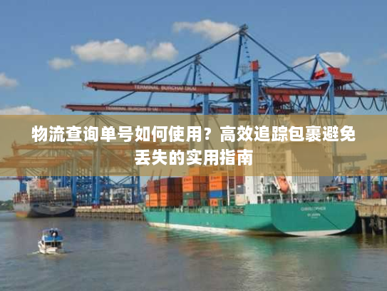 物流查询单号如何使用？高效追踪包裹避免丢失的实用指南