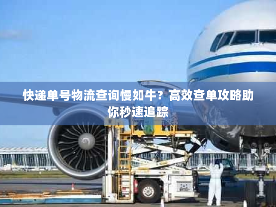 快递单号物流查询慢如牛？高效查单攻略助你秒速追踪
