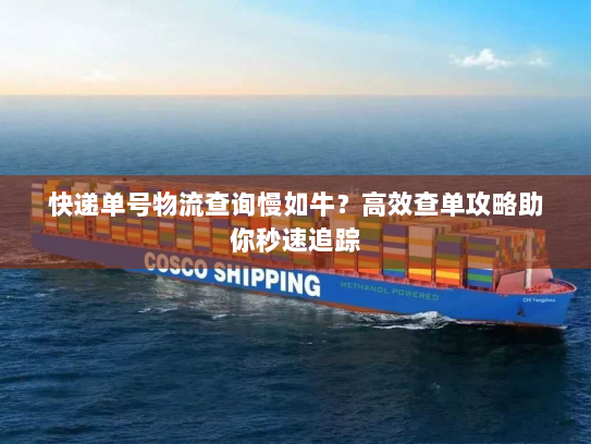 快递单号物流查询慢如牛？高效查单攻略助你秒速追踪
