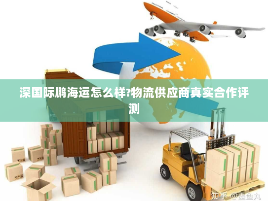 深国际鹏海运怎么样?物流供应商真实合作评测 深国际鹏海运怎么样?物流供应商真实合作评测