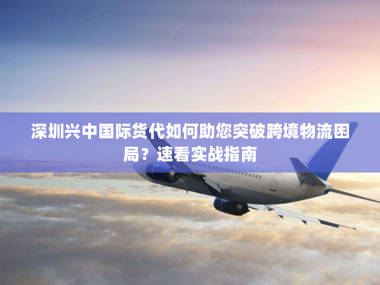 深圳兴中国际货代如何助您突破跨境物流困局?速看实战指南 深圳兴中国际货代如何助您突破跨境物流困局?速看实战指南