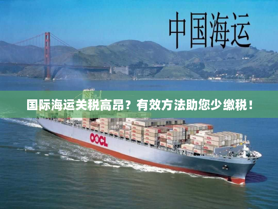 国际海运关税高昂?有效方法助您少缴税! 国际海运关税高昂?有效方法助您少缴税!