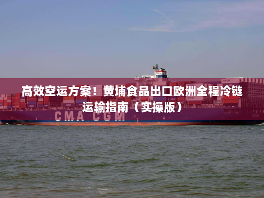 高效空运方案!黄埔食品出口欧洲全程冷链运输指南(实操版) 高效空运方案!黄埔食品出口欧洲全程冷链运输指南(实操版)