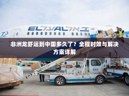 非洲龙虾运到中国多久了?全程时效与解决方案详解 非洲龙虾运到中国多久了?全程时效与解决方案详解