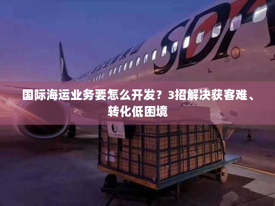 国际海运业务要怎么开发?3招解决获客难、转化低困境 国际海运业务要怎么开发?3招解决获客难、转化低困境