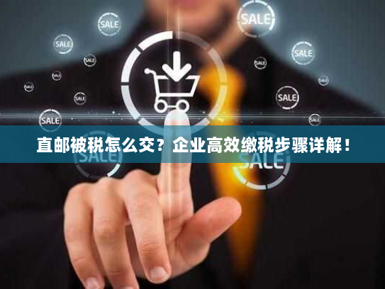 直邮被税怎么交？企业高效缴税步骤详解！