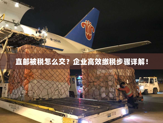 直邮被税怎么交？企业高效缴税步骤详解！