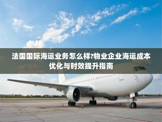 法国国际海运业务怎么样?物业企业海运成本优化与时效提升指南