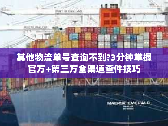 其他物流单号查询不到?3分钟掌握官方+第三方全渠道查件技巧