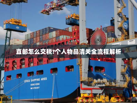直邮怎么交税?个人物品清关全流程解析 直邮怎么交税?个人物品清关全流程解析