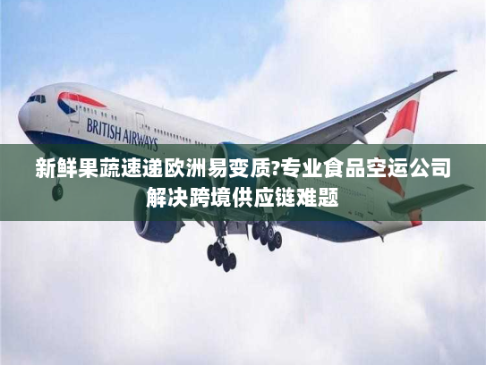 新鲜果蔬速递欧洲易变质?专业食品空运公司解决跨境供应链难题 新鲜果蔬速递欧洲易变质?专业食品空运公司解决跨境供应链难题